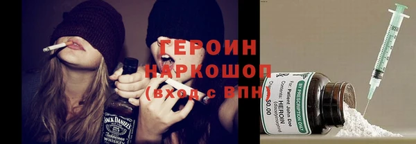 стаф Тайга