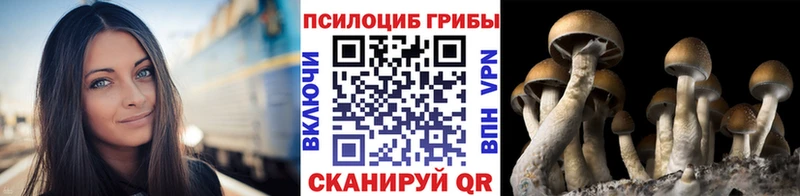 Галлюциногенные грибы Magic Shrooms  darknet клад  Родники 