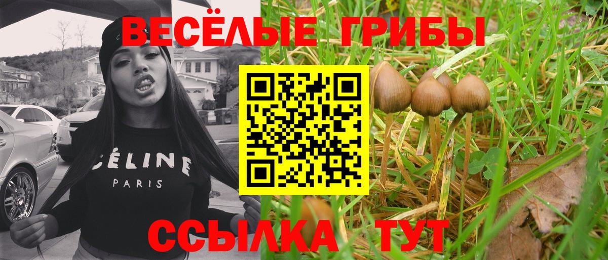 Галлюциногенные грибы прущие грибы Родники