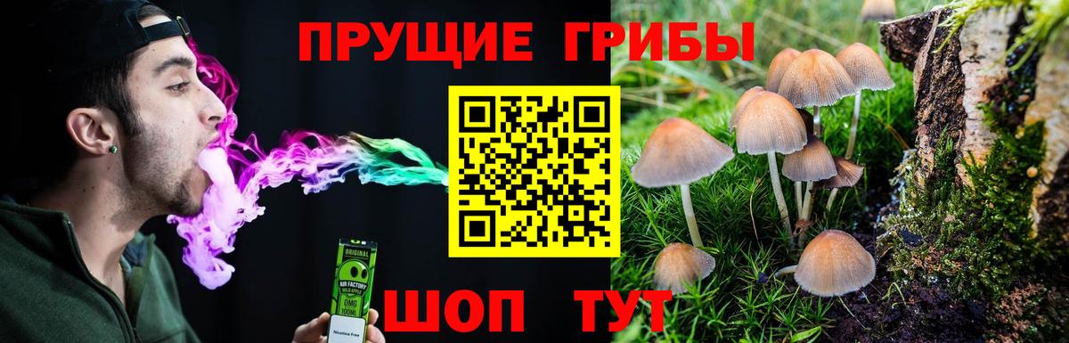 Родники  Псилоцибиновые грибы MAGIC MUSHROOMS  Вход с VPN 