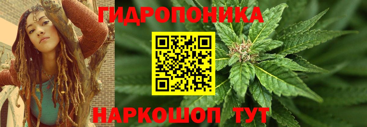 Бошки марихуана Ganja Родники